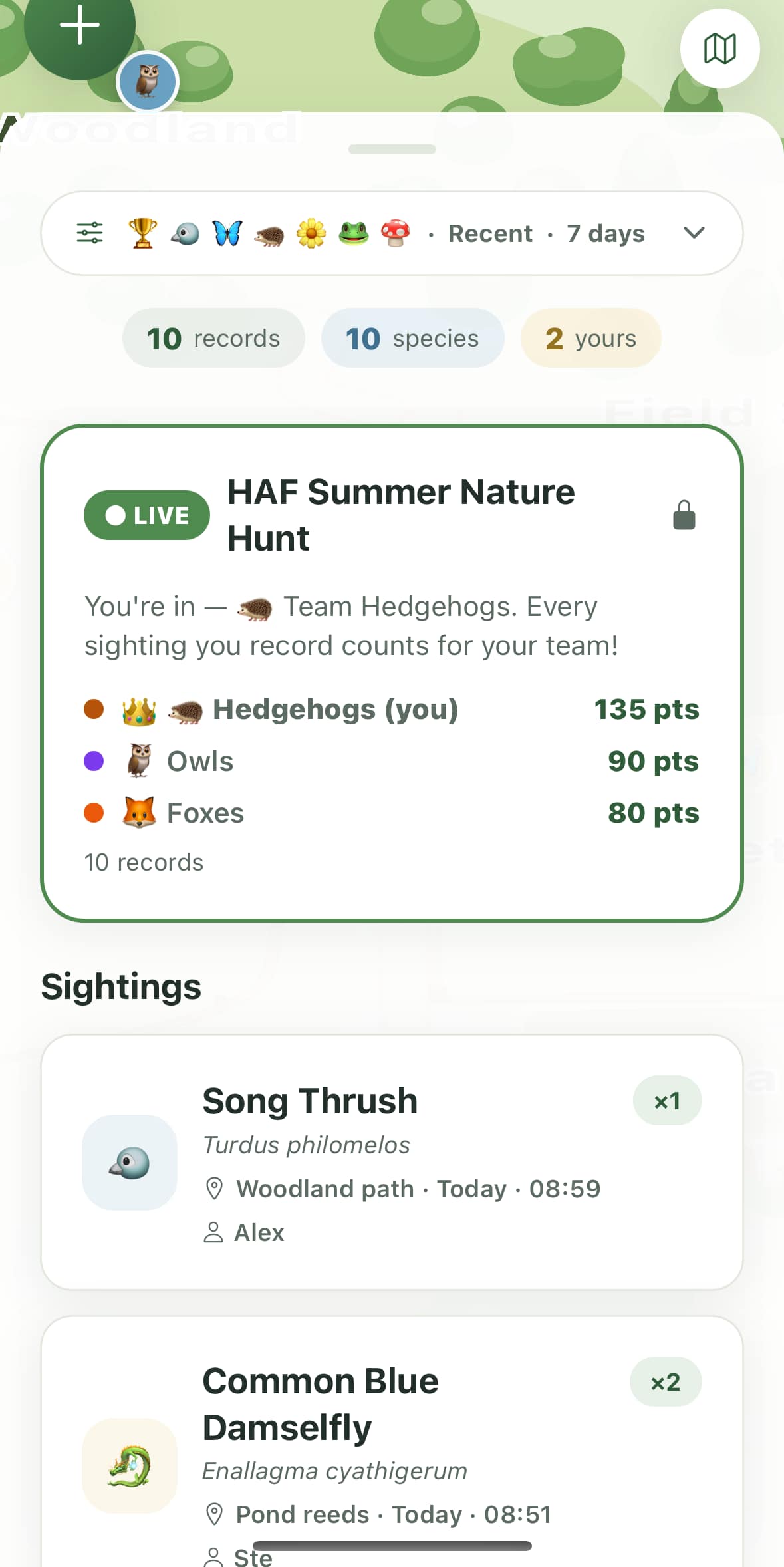 A live team nature hunt on the farm map