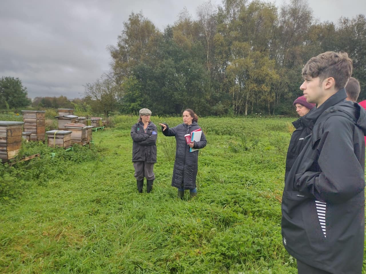 From the ground up – Moss Lane Farm in The Lapwing