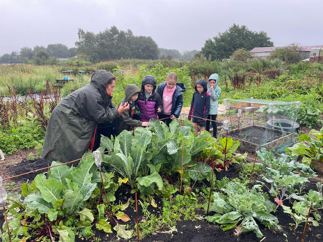 Moss Lane Farm