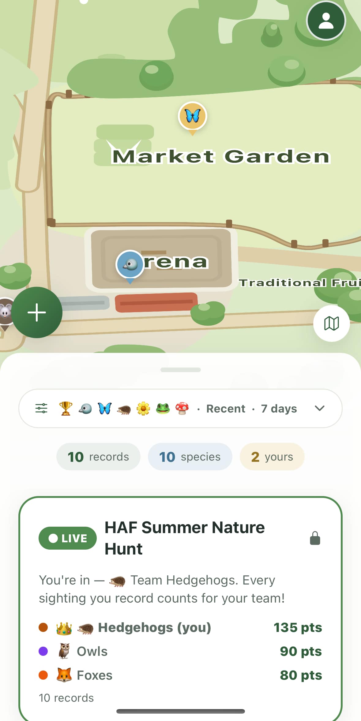The farm map during a live summer nature hunt