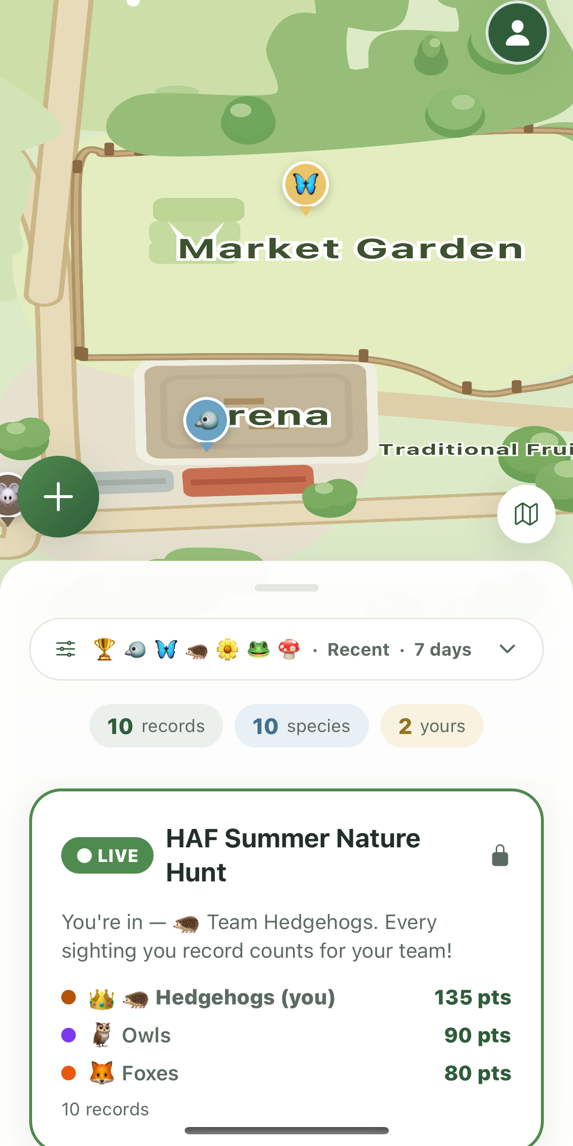 The farm map during a live summer nature hunt
